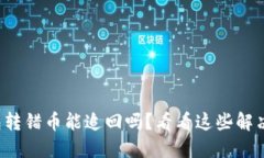 TP钱包转错币能追回吗？看